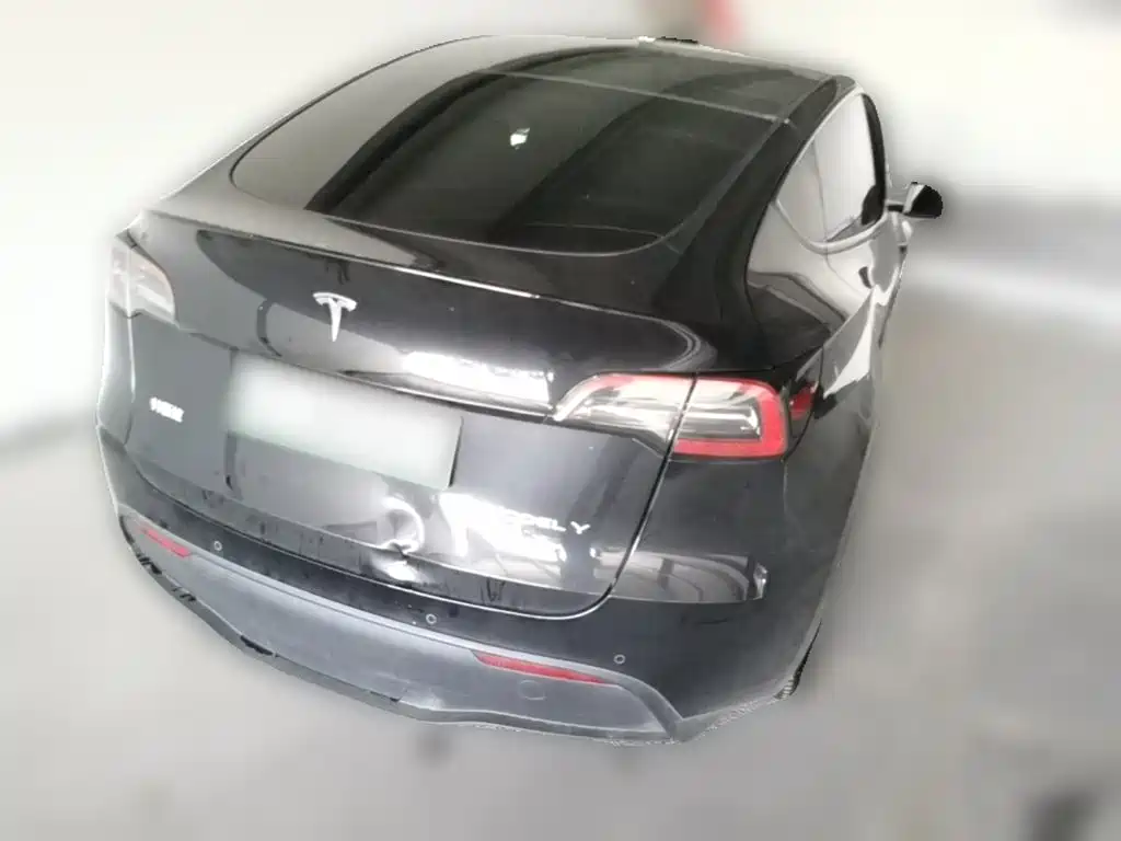 Tesla Model Y — миниатюра 10