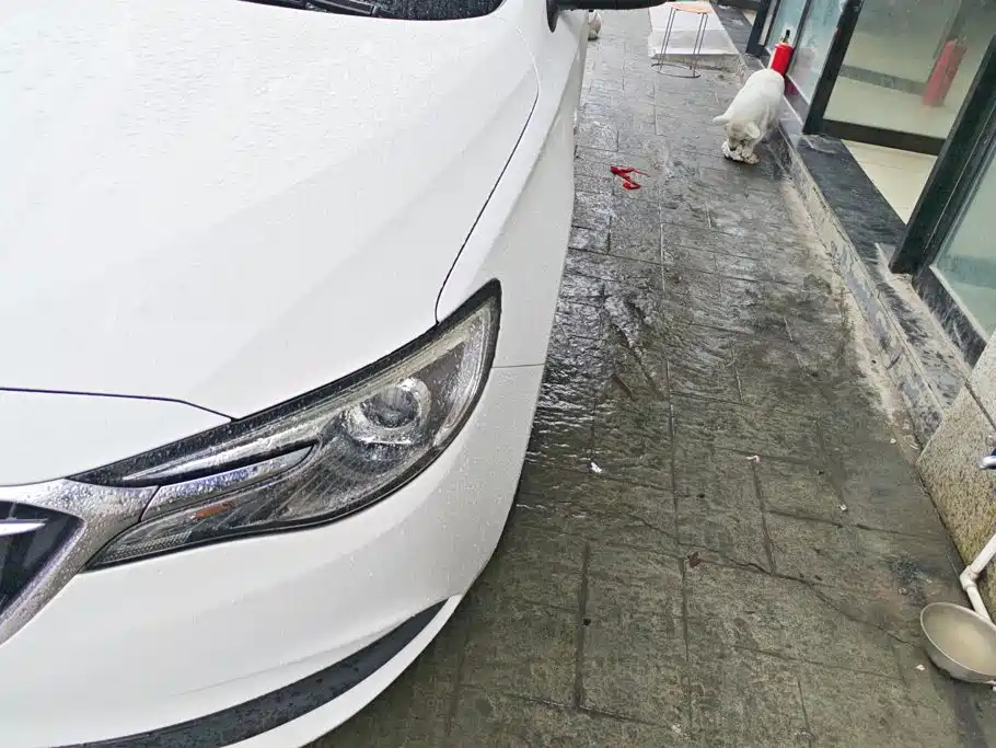 Buick Excelle — миниатюра 5