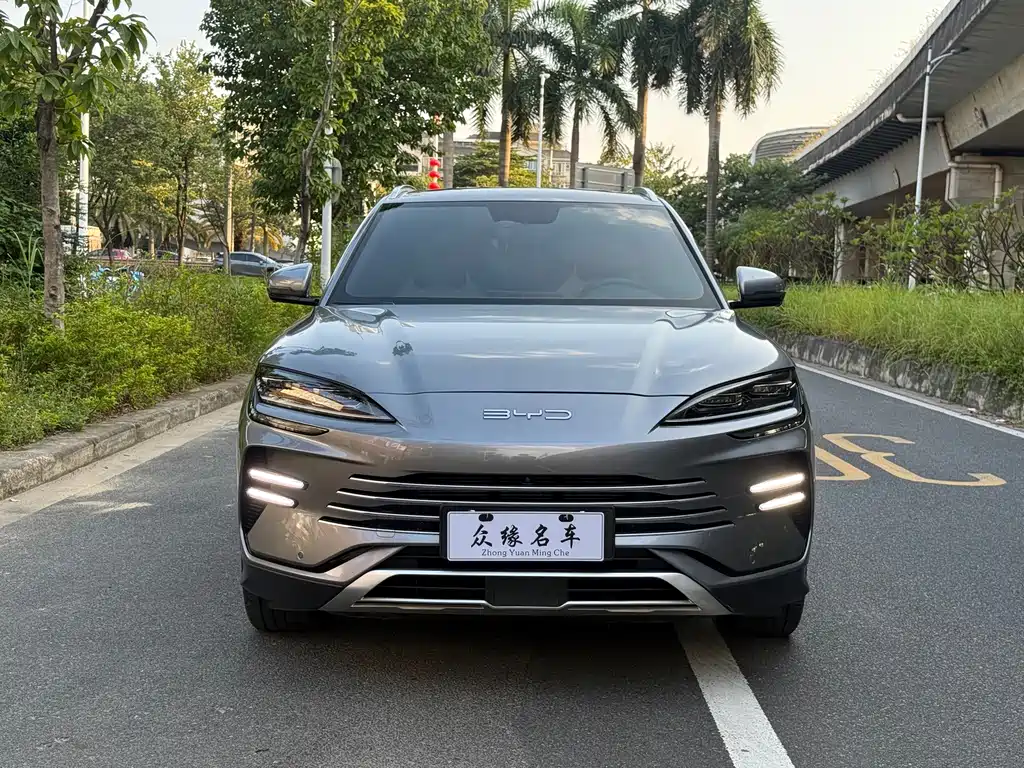 BYD PLUS New Energy — миниатюра 2