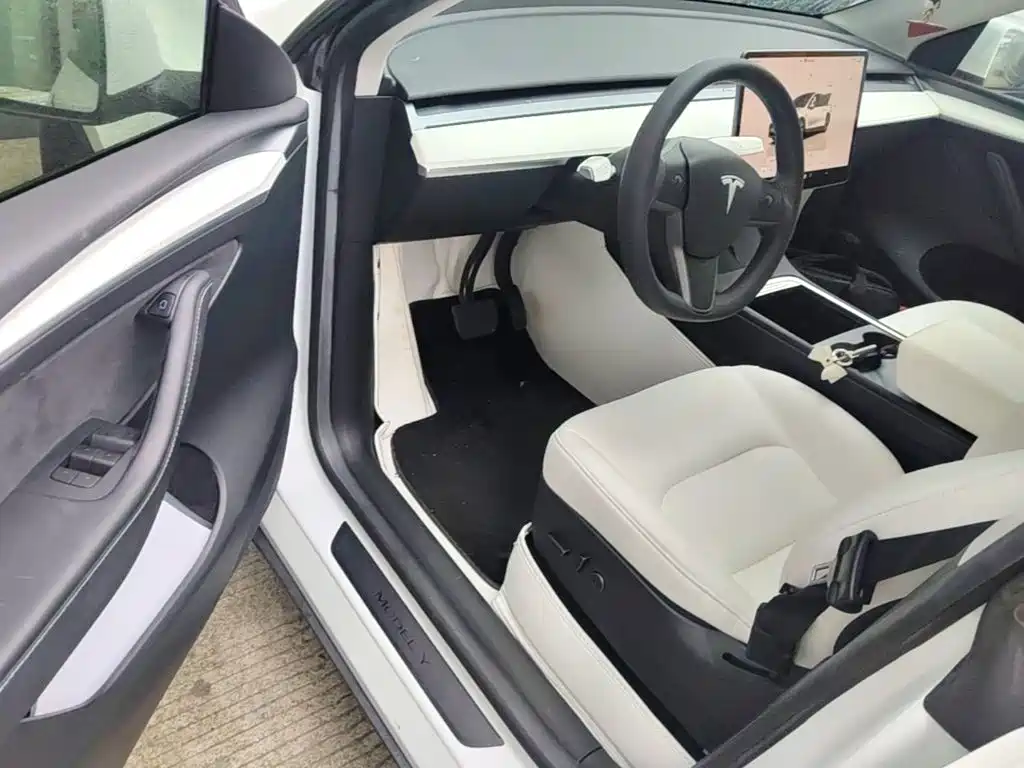 Tesla Model Y — миниатюра 16