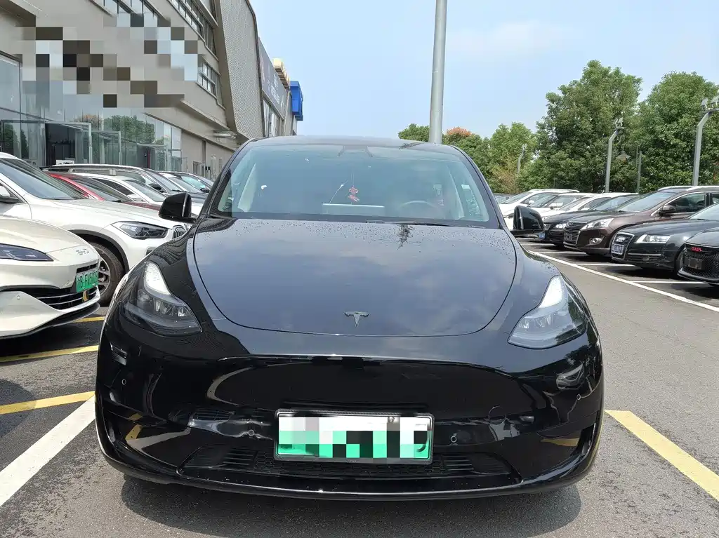 Tesla Model Y — миниатюра 2