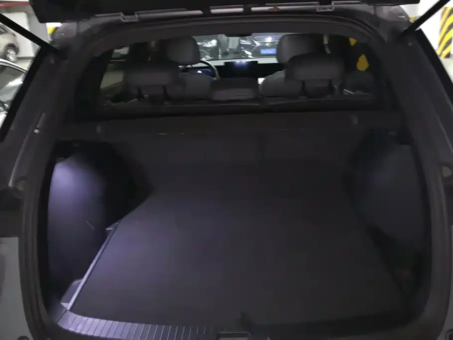 BYD Pro New Energy — миниатюра 4