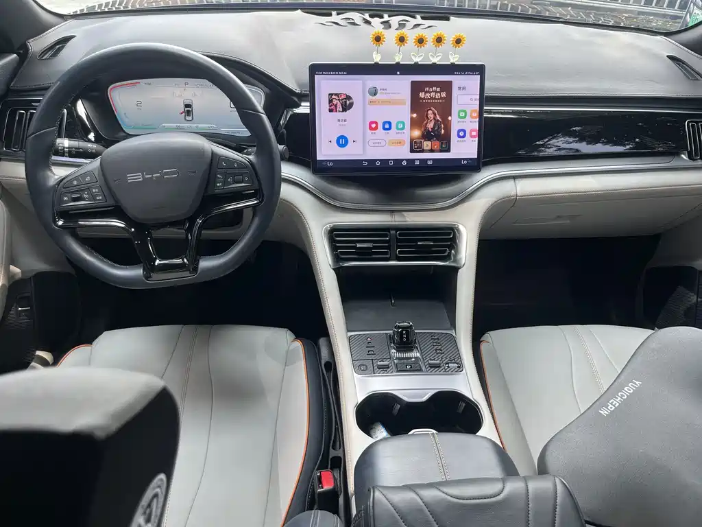 BYD PLUS New Energy — миниатюра 7