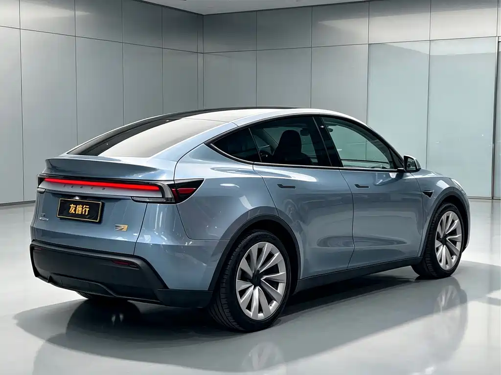 Tesla Model Y — миниатюра 4