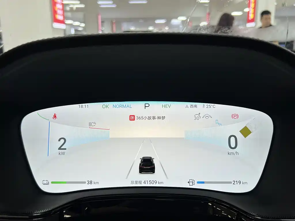 BYD Tang New Energy — миниатюра 6