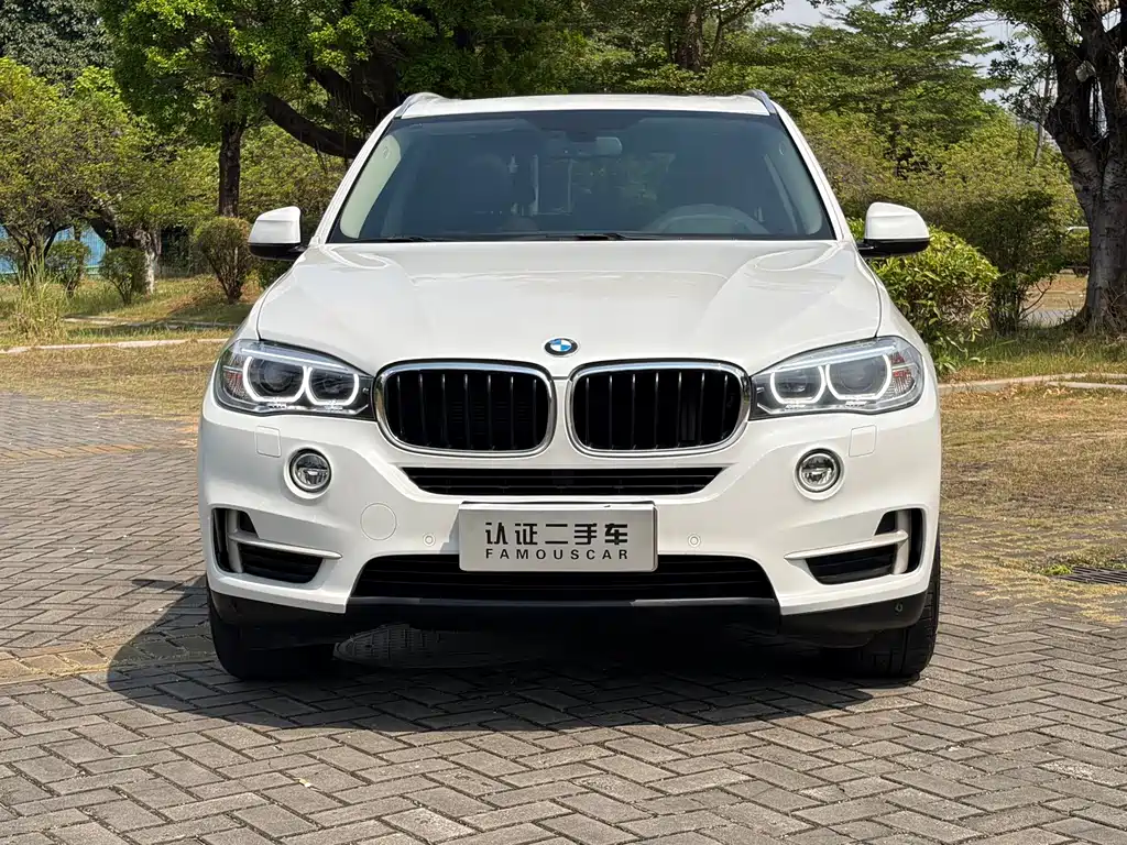 BMW X5 (Import) — миниатюра 2