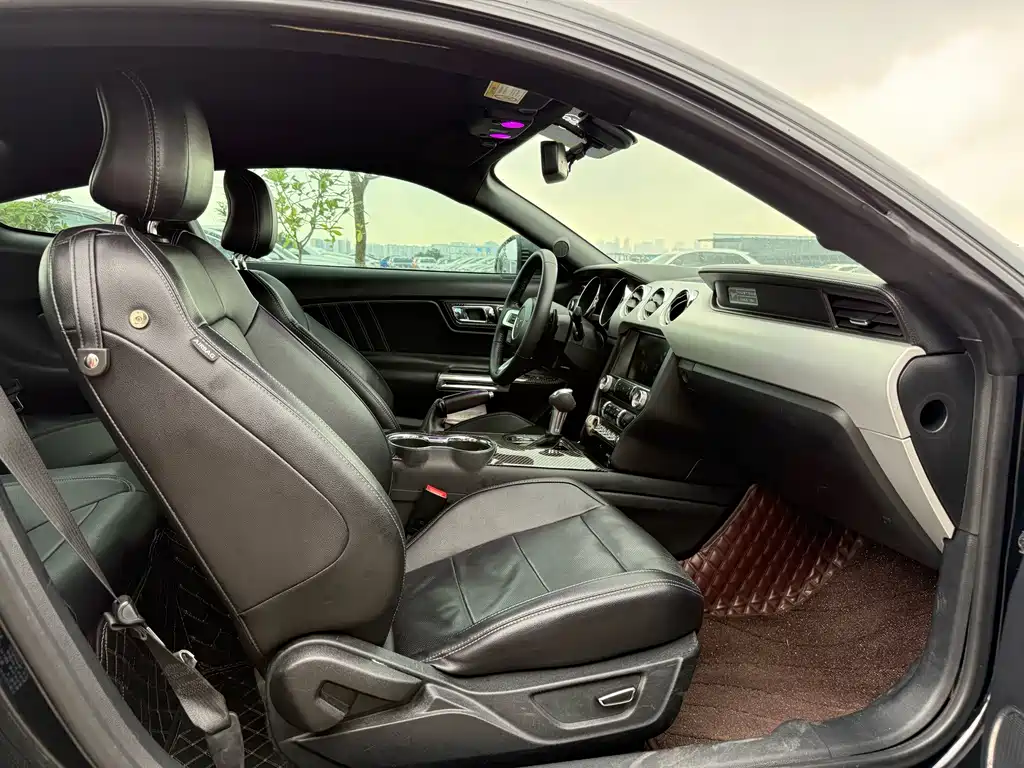 Ford Mustang — миниатюра 12