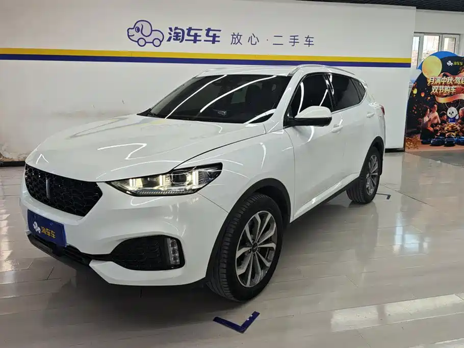 Wey Wey VV6