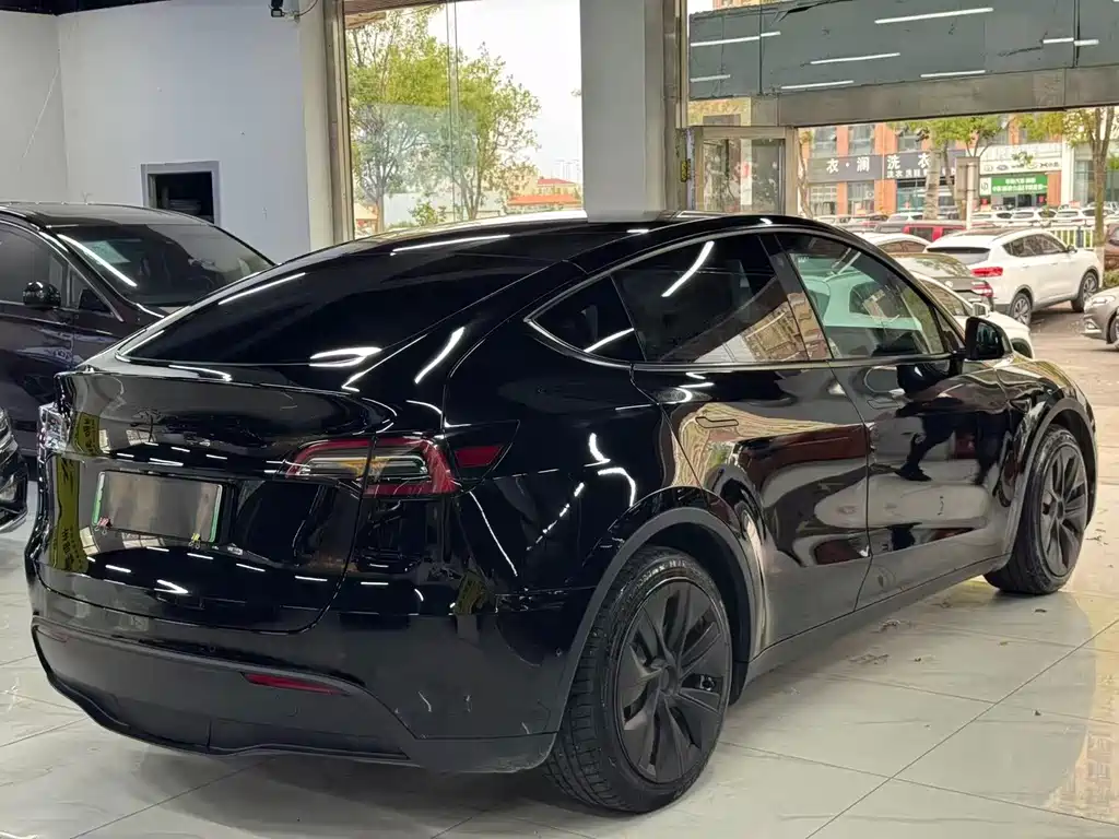 Tesla Model Y — миниатюра 6