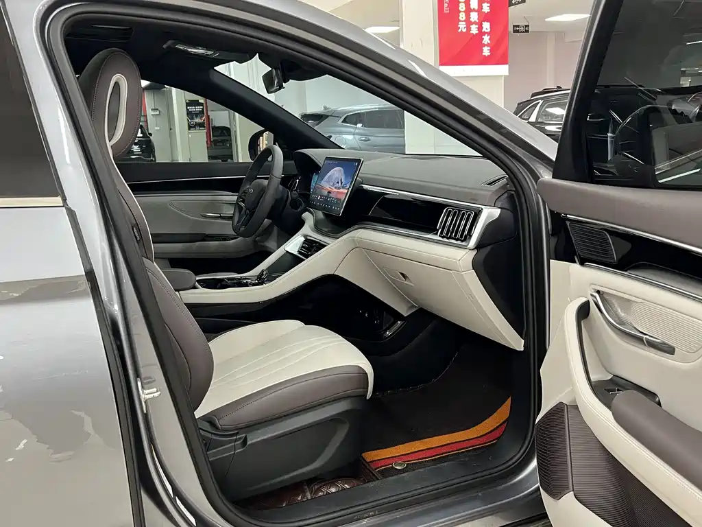 BYD PLUS New Energy — миниатюра 9