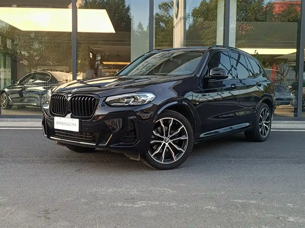 BMW X3 — миниатюра 2