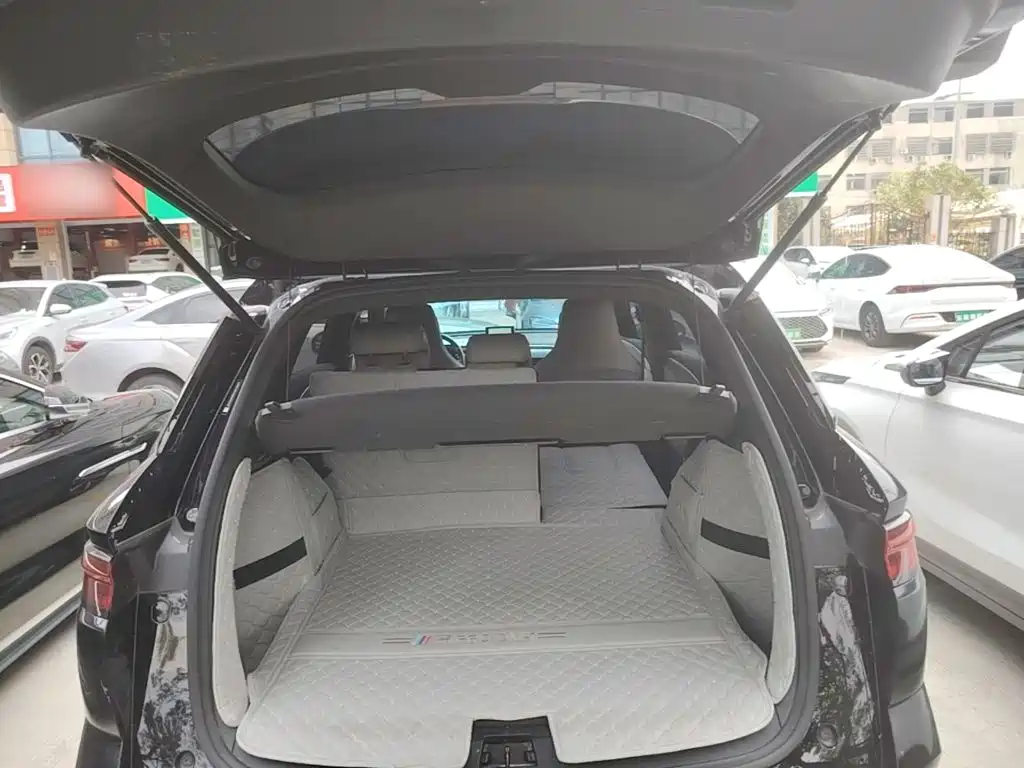 BYD Pro New Energy — миниатюра 19