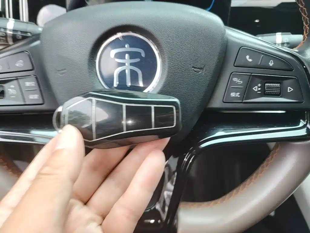 BYD Pro New Energy — миниатюра 9