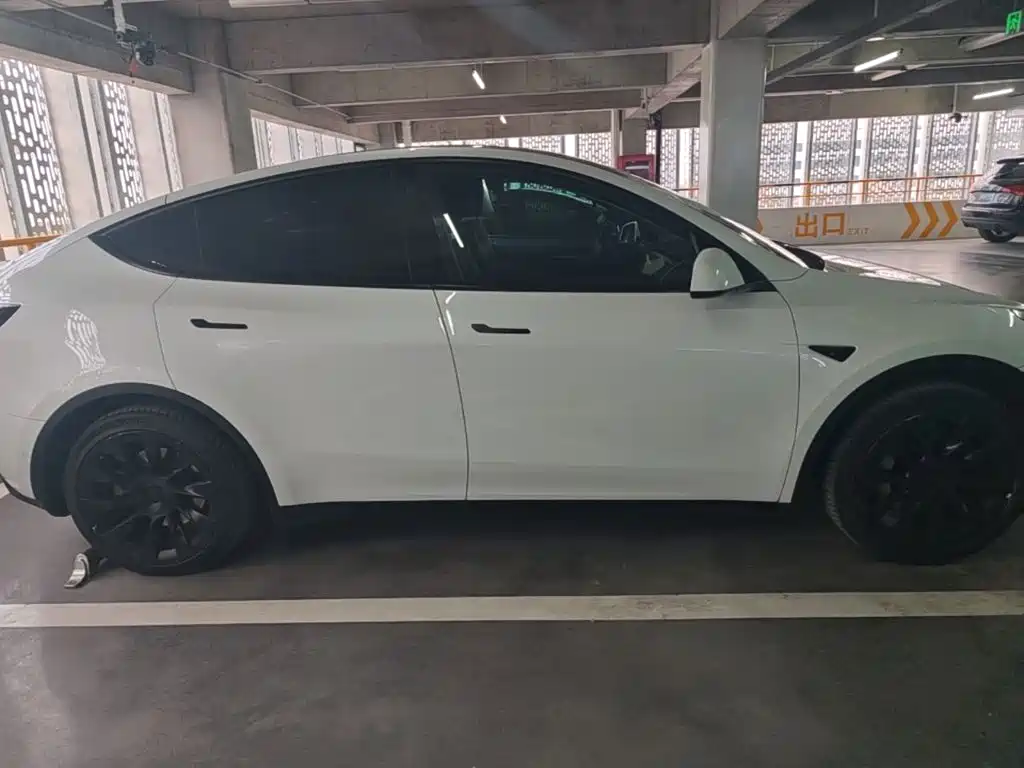 Tesla Model Y — миниатюра 27