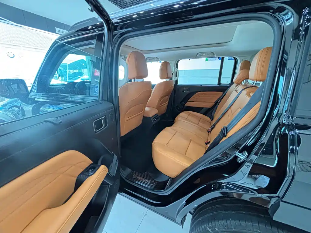Haval Menglong New Energy — миниатюра 18