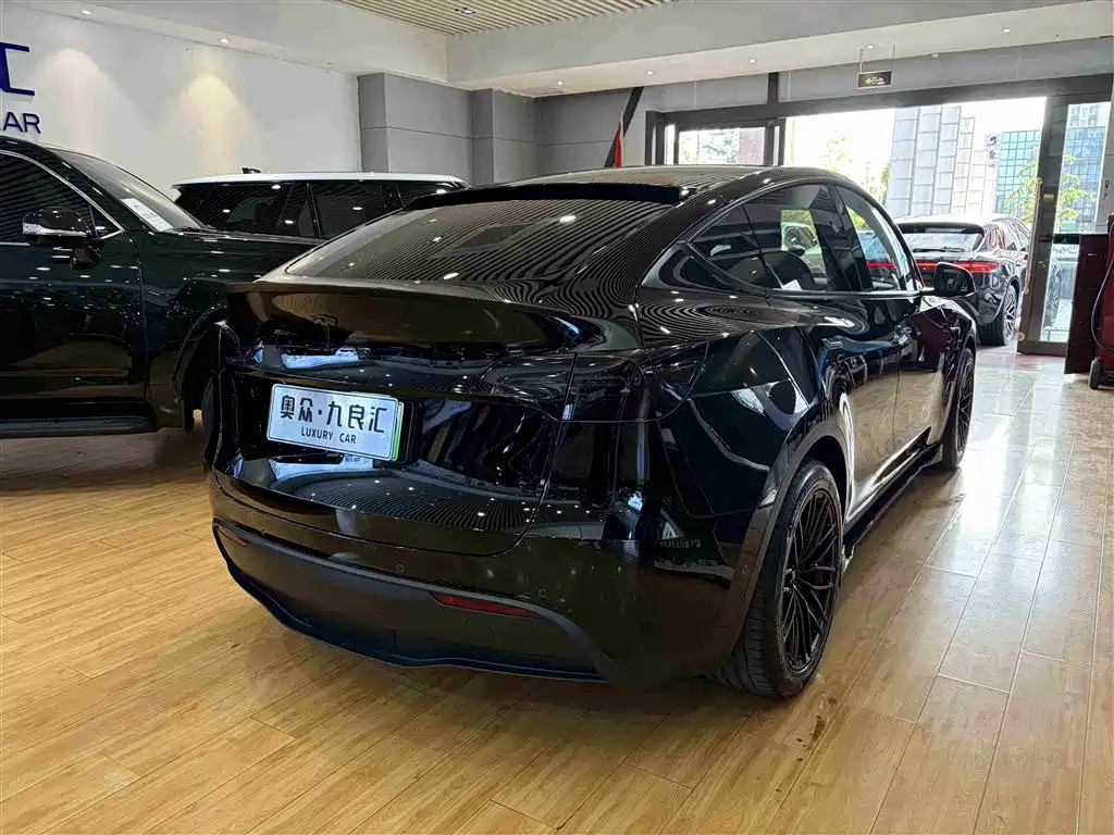 Tesla Model Y — миниатюра 12