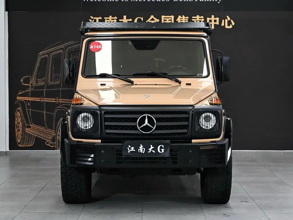 Mercedes-Benz G-Class G 2010 G 500