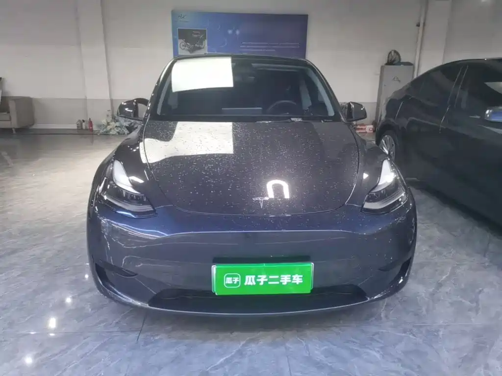 Tesla Model Y — миниатюра 3