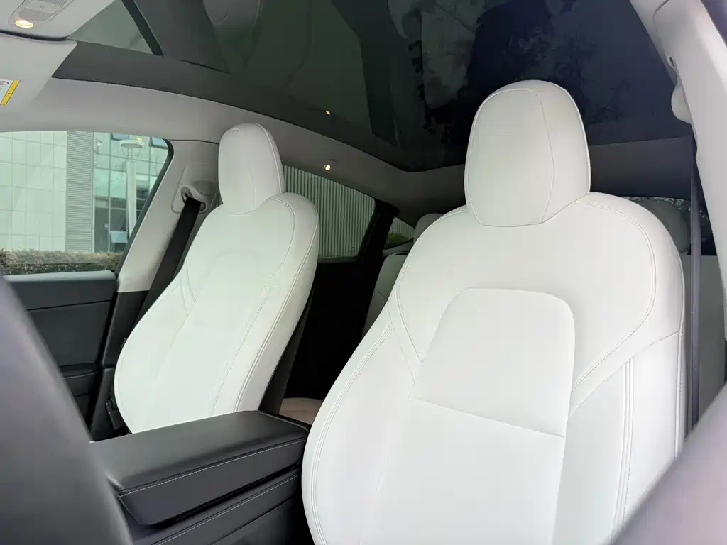 Tesla Model Y — миниатюра 20