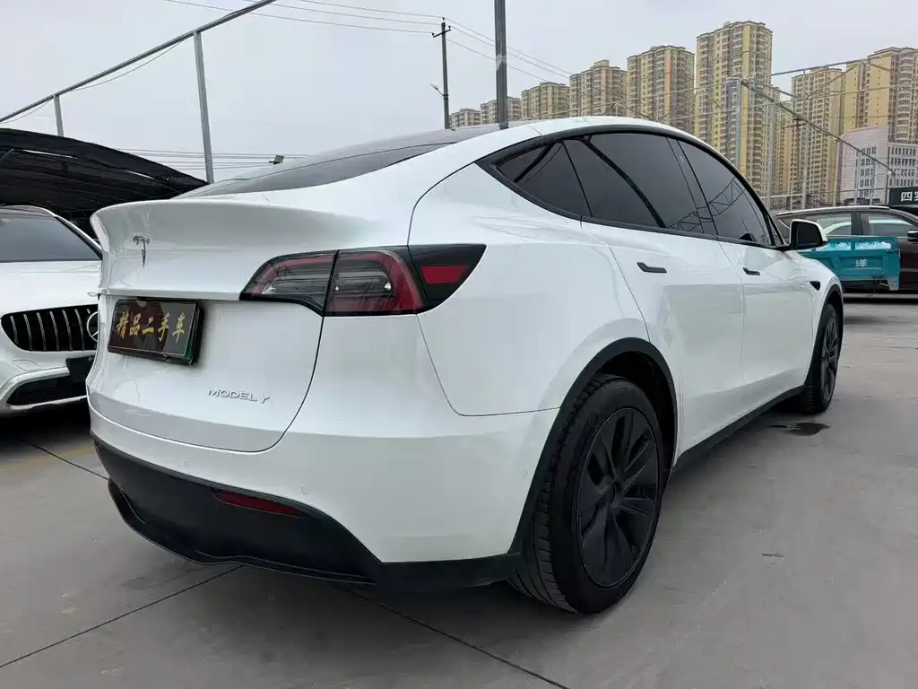 Tesla Model Y — миниатюра 7