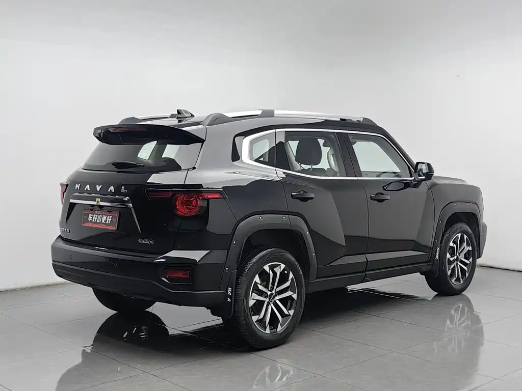 Haval Big Dog PLUS — миниатюра 2