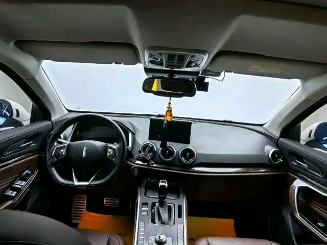 WEI PAI WEI BRAND VV5