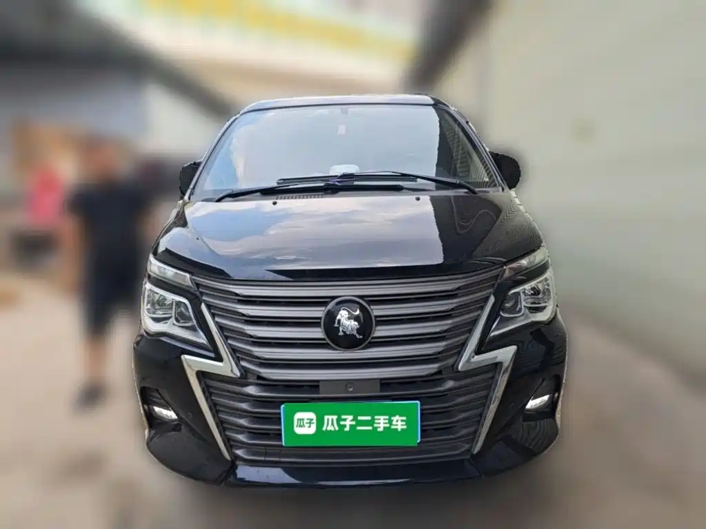 Fengxing Lingzhi — миниатюра 2