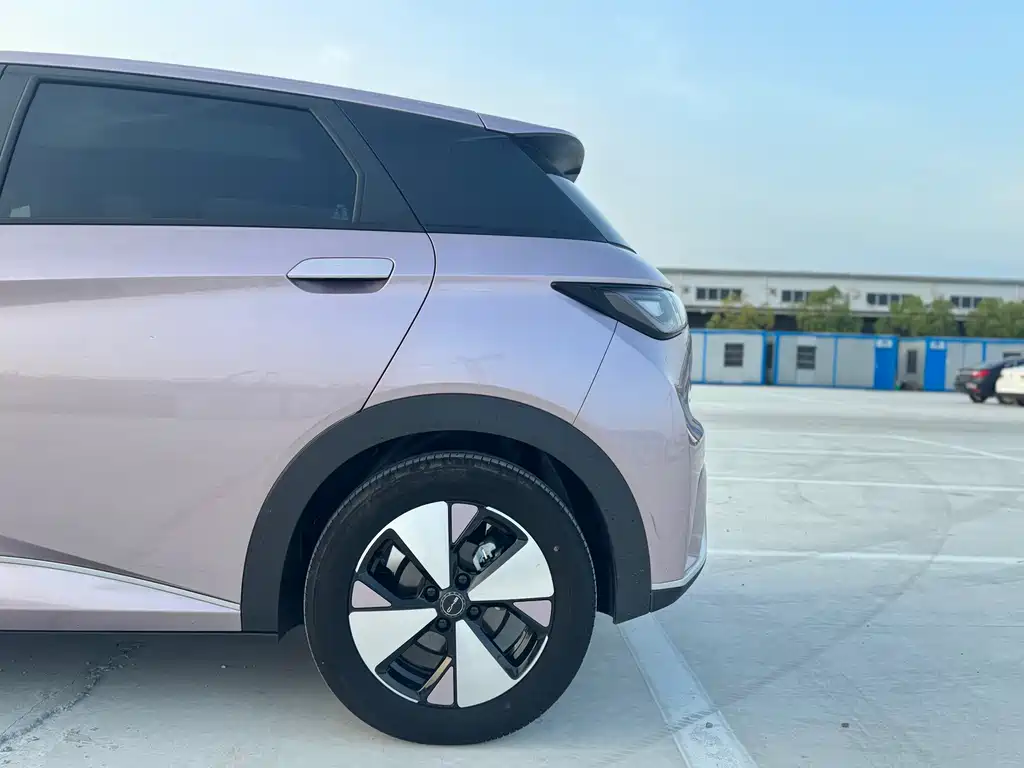 BYD Dolphin — миниатюра 8