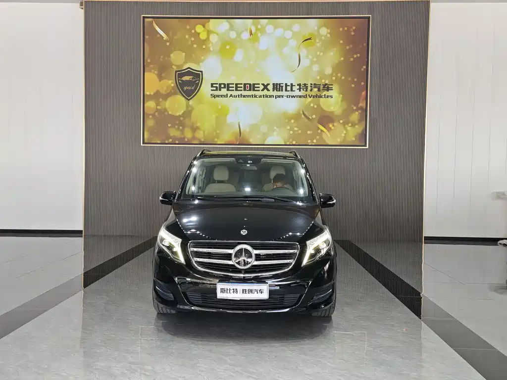 Mercedes-Benz V-Class V 2018 V 260 Luxury VI