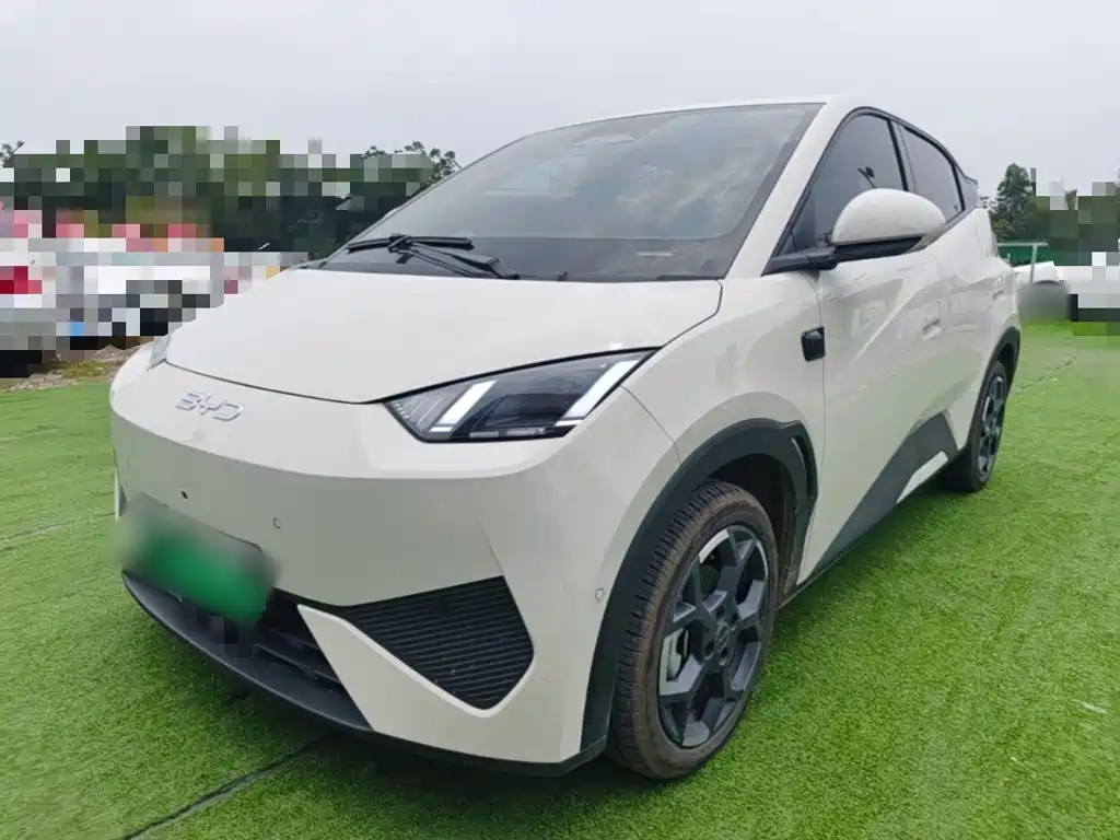 BYD Seagull 2025 Smart Drive Edition 305km Free Edition