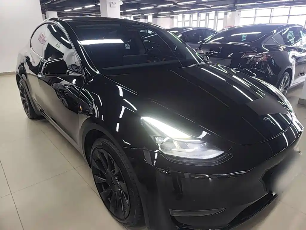 Tesla Model Y — миниатюра 4