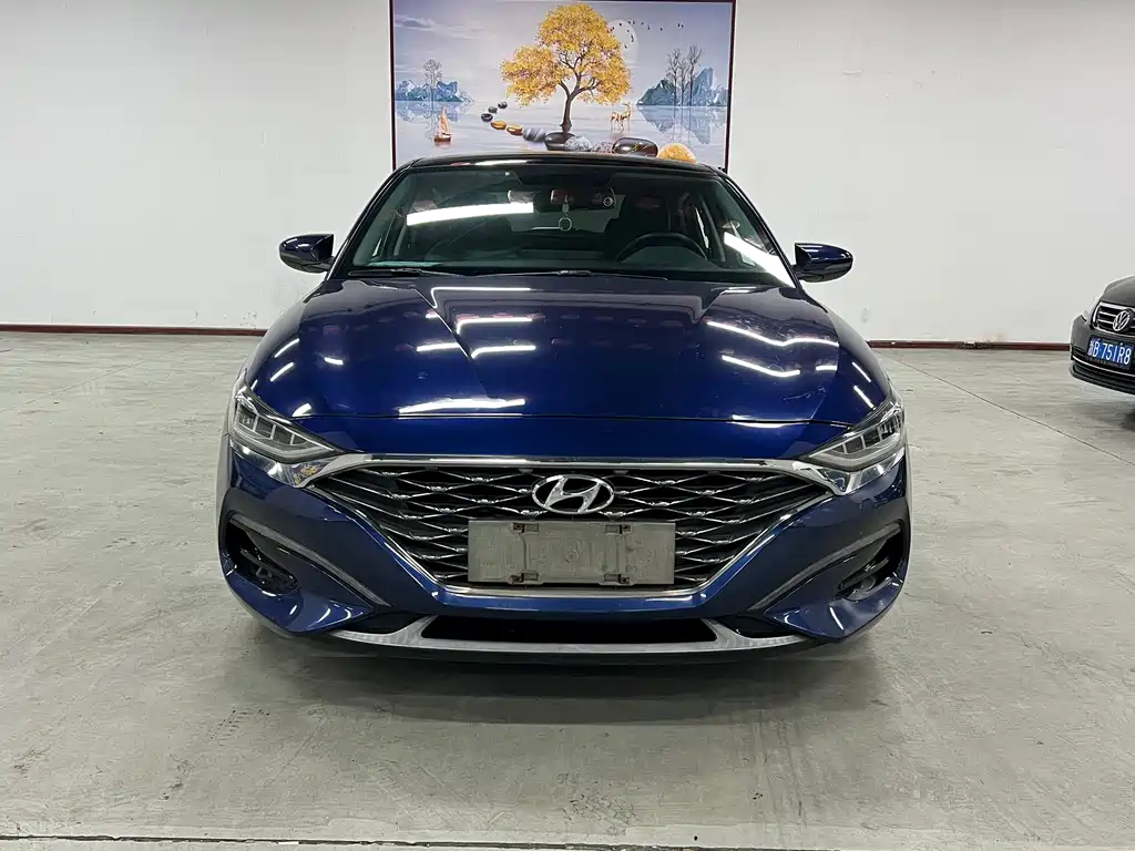Hyundai Fista — миниатюра 2