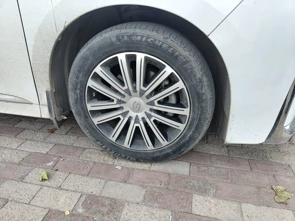 GAC Motor Trumpchi M8 — миниатюра 8