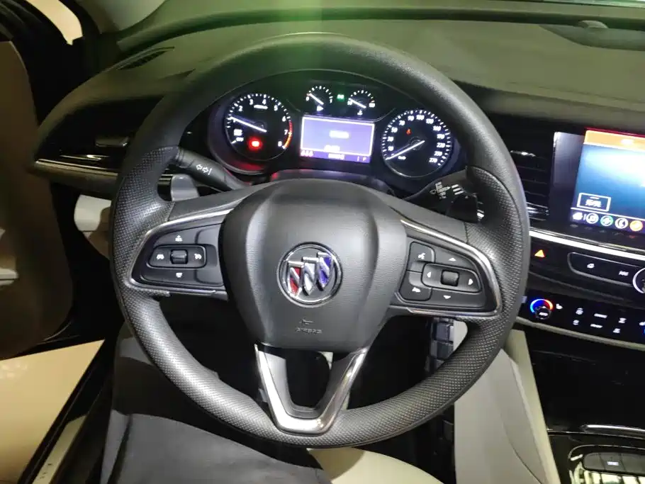 Buick Regal — миниатюра 15