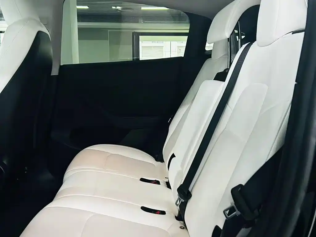 Tesla Model Y — миниатюра 9