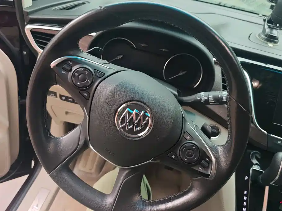 Buick GL8 — миниатюра 15