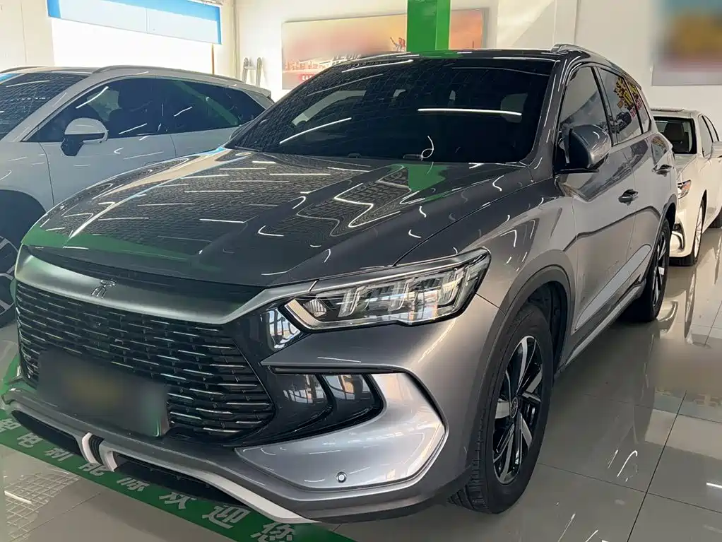 BYD Pro New Energy — миниатюра 2