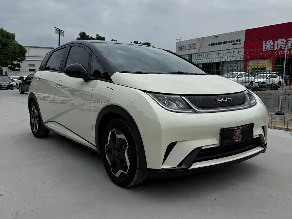 BYD Dolphin — миниатюра 2