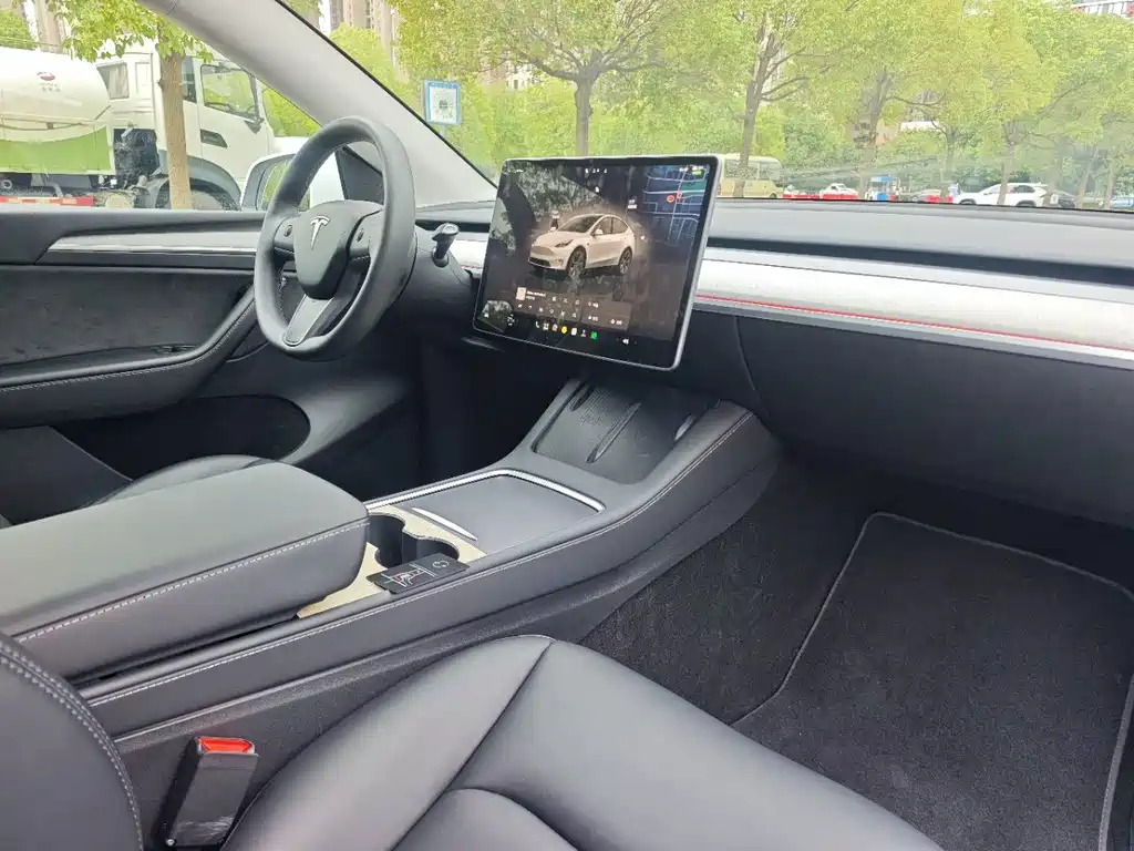 Tesla Model Y — миниатюра 8