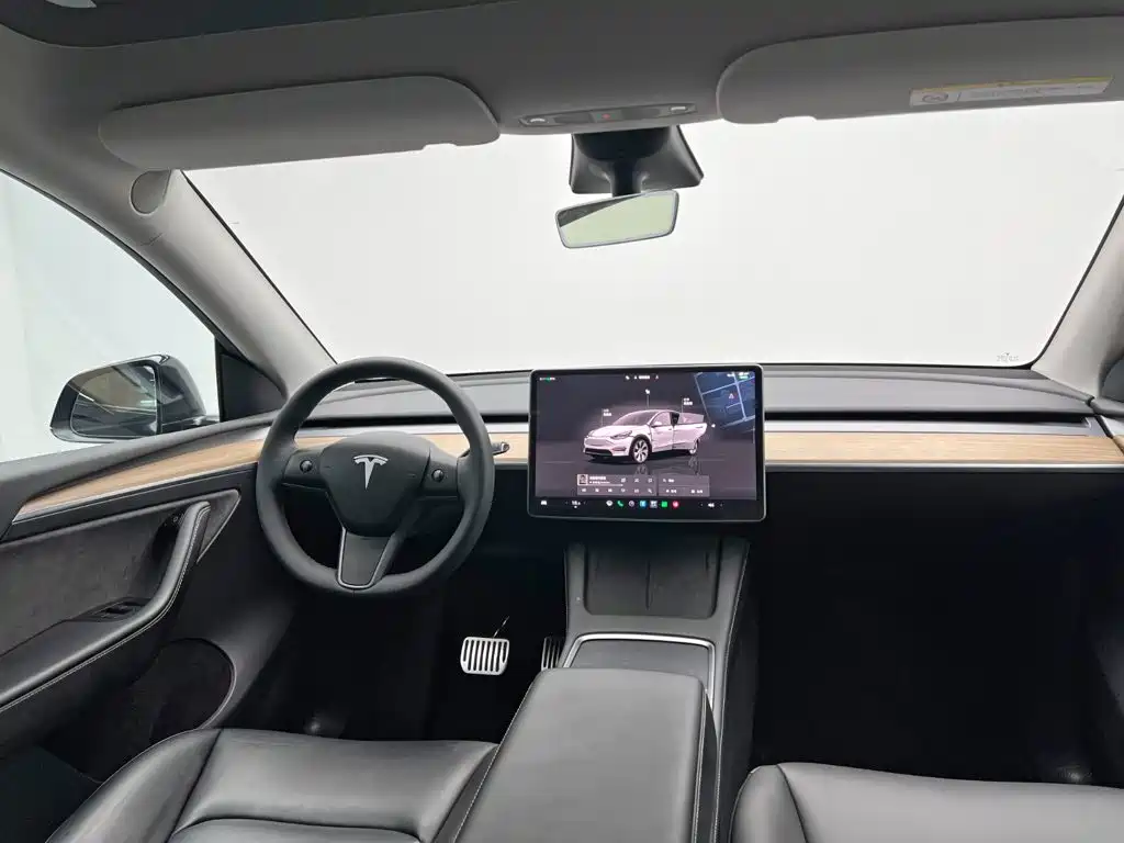 Tesla Model Y — миниатюра 21
