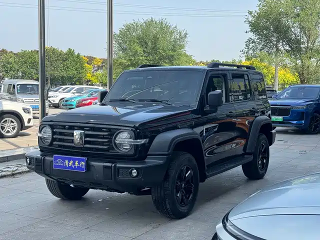 2023 TANK 300