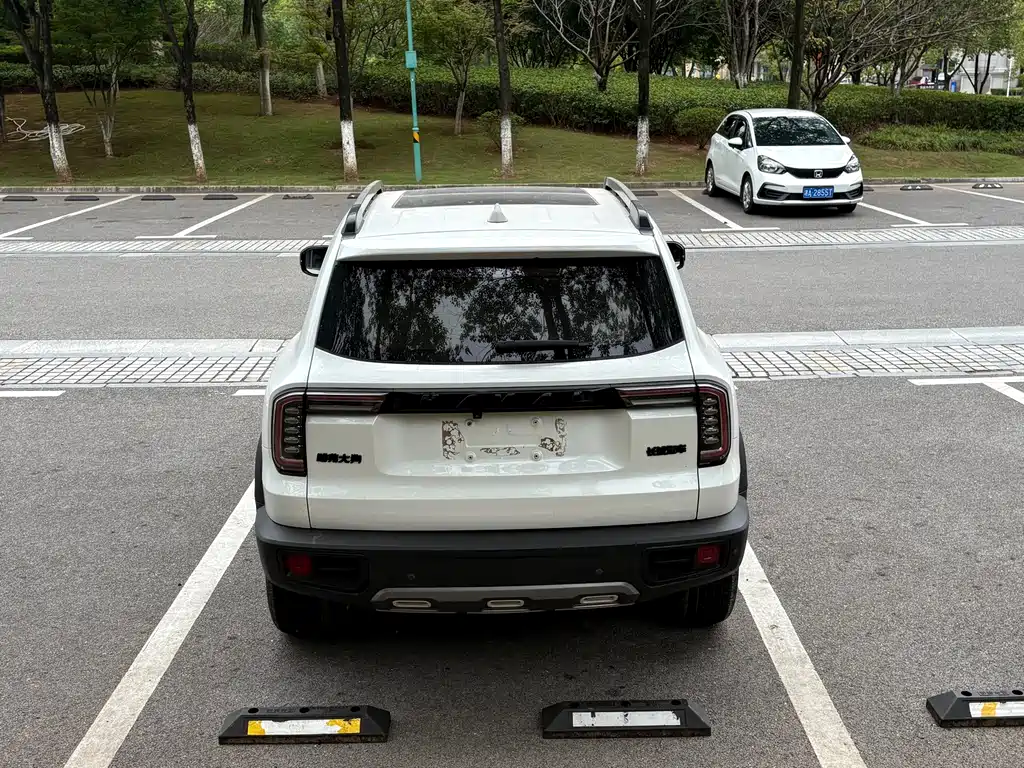 Haval Big Dog — миниатюра 14