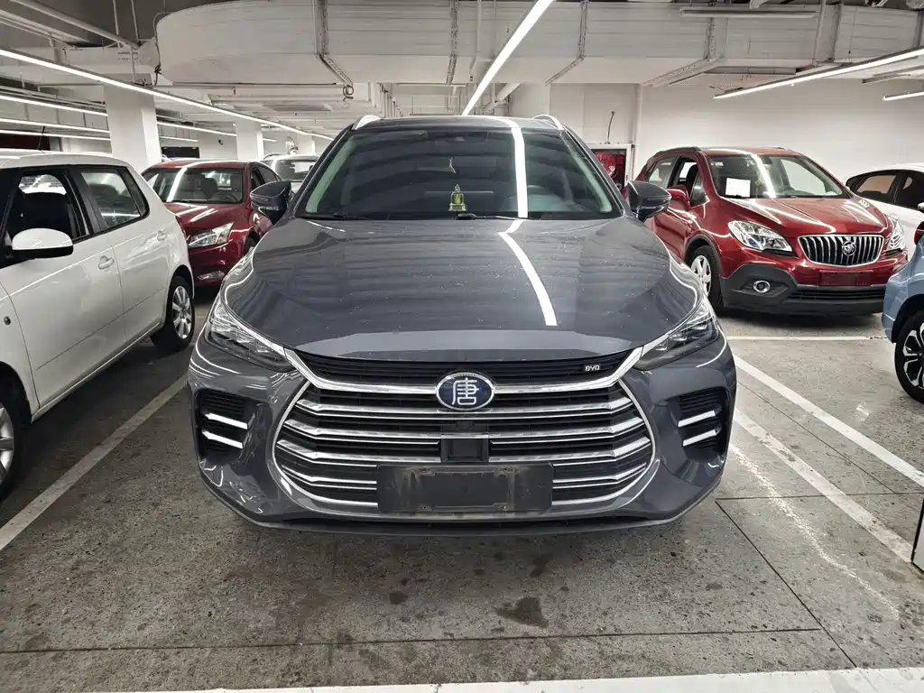 BYD Tang New Energy — миниатюра 2