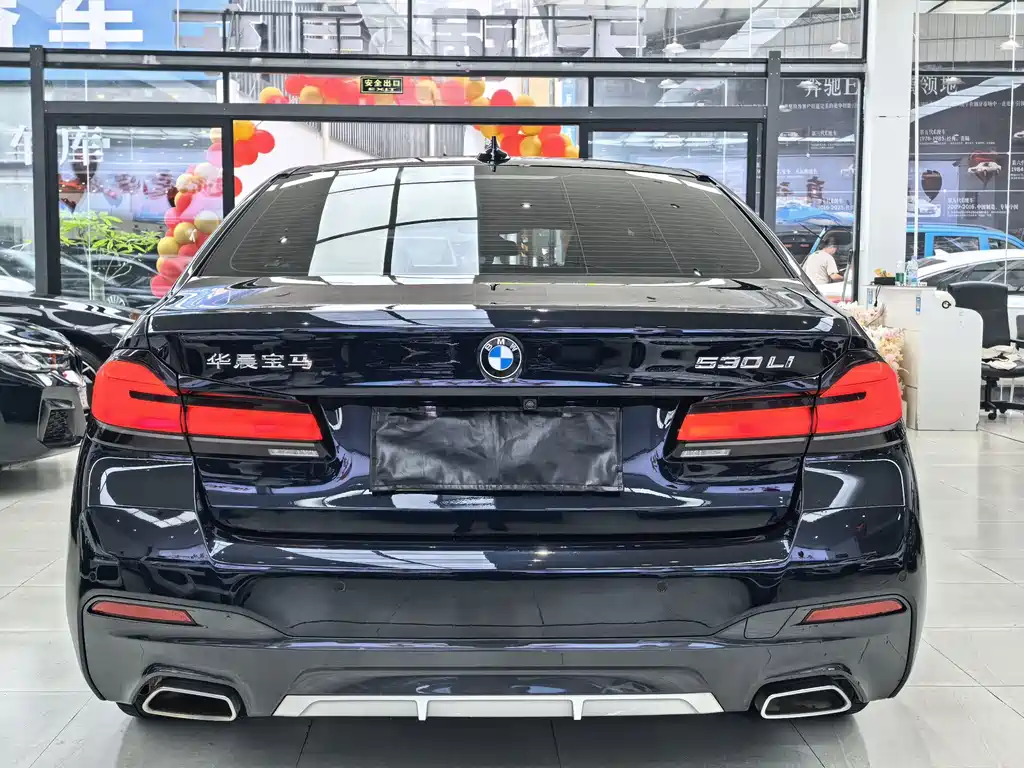 BMW 5 Series — миниатюра 5