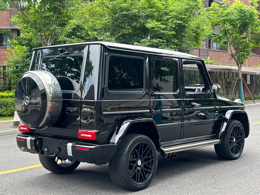 Mercedes-Benz G-Class A MG G AMG 2009 AMG G 55