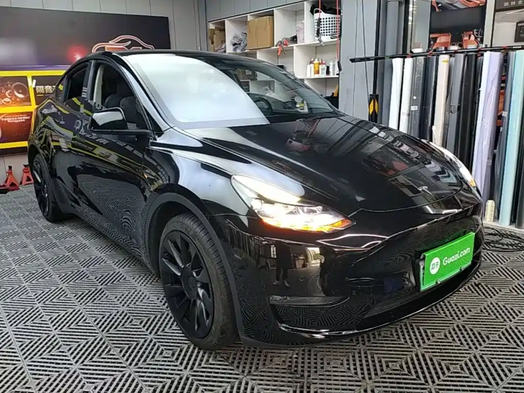 Tesla Model Y — миниатюра 4