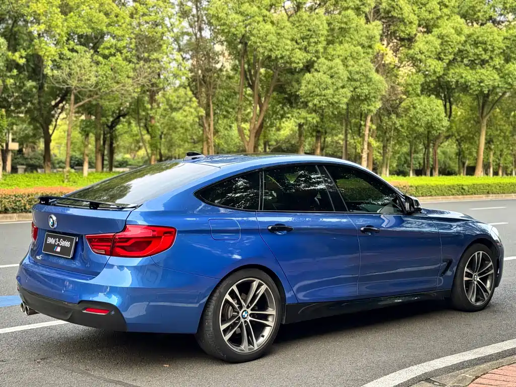 BMW 3 Series GT 330i xDrive M Sport Type, фото 7