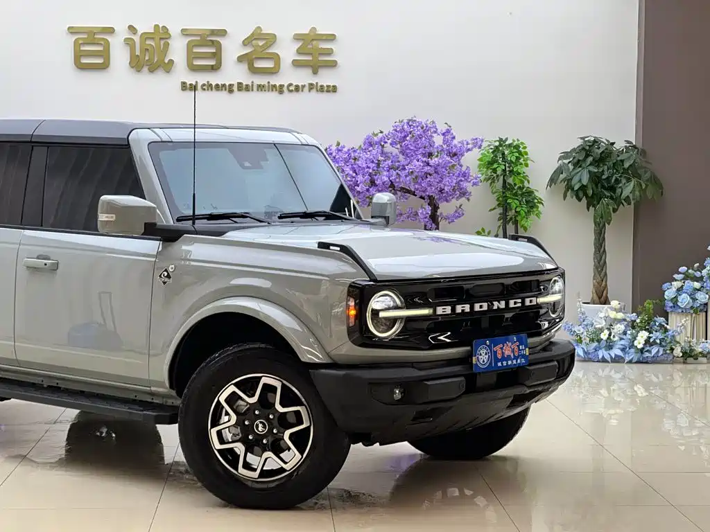 Ford Bronco (Import) — миниатюра 4