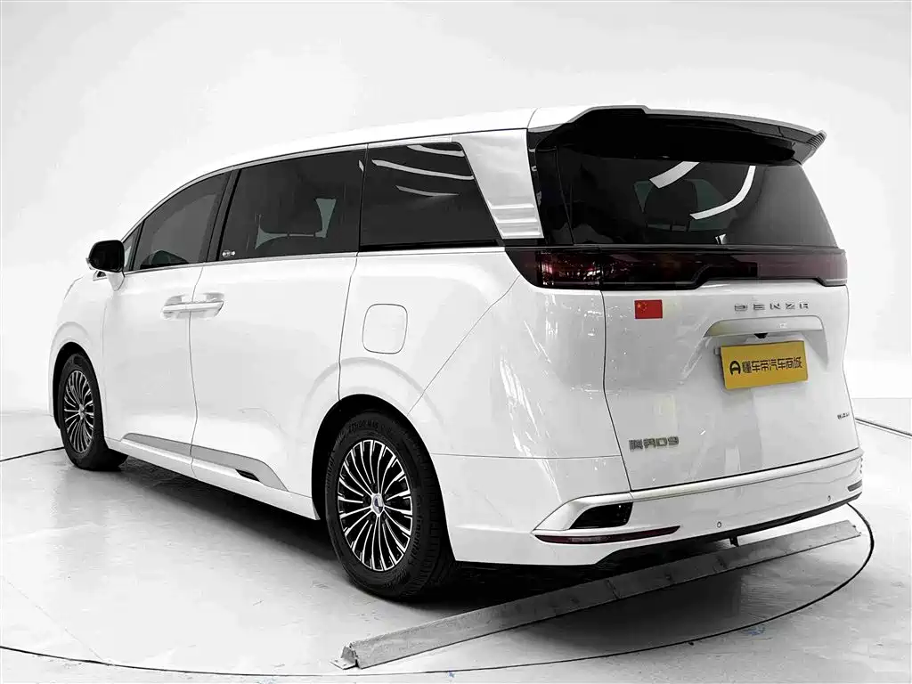 Denza Denza D9 — миниатюра 18