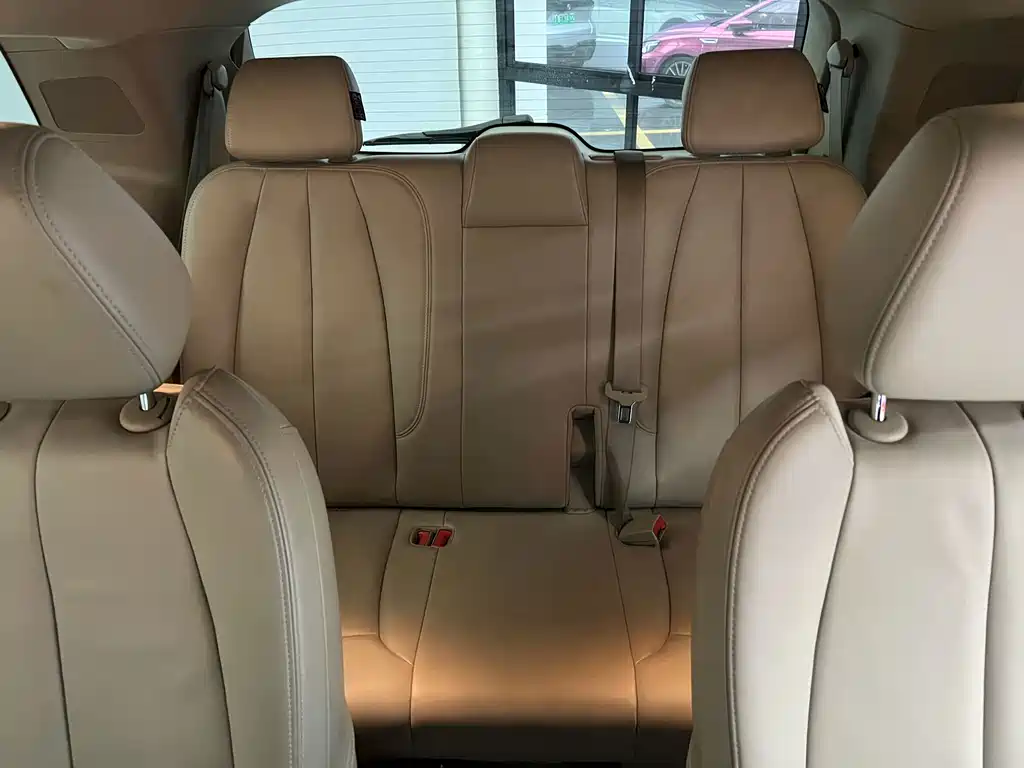 Buick GL8 — миниатюра 11